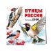 Птицы России. Календарь настенный на 2026 год (300х300 мм)