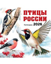 Птицы России. Календарь настенный на 2026 год (300х300 мм)