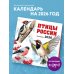 Птицы России. Календарь настенный на 2026 год (300х300 мм)