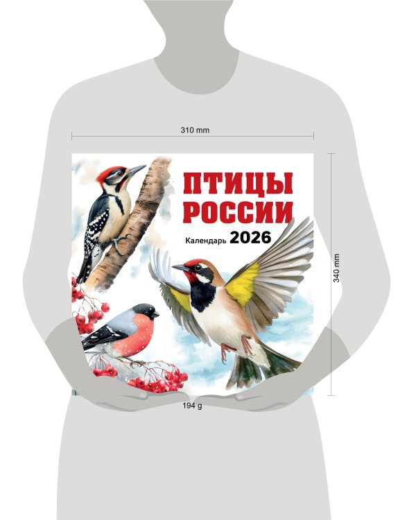 Птицы России. Календарь настенный на 2026 год (300х300 мм)