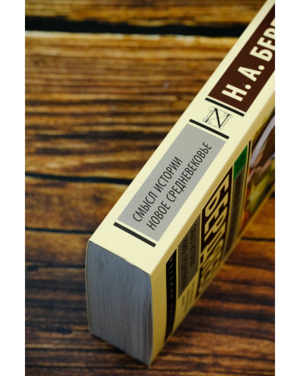 Смысл истории. Новое средневековье