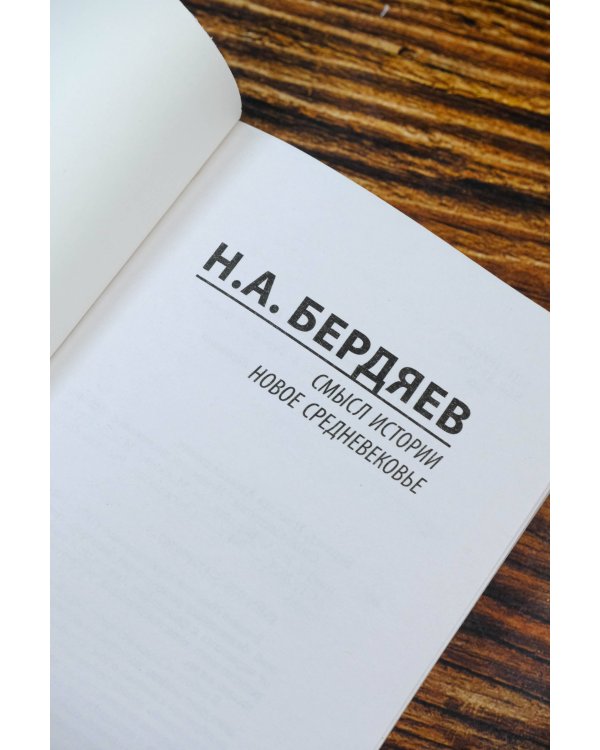 Смысл истории. Новое средневековье