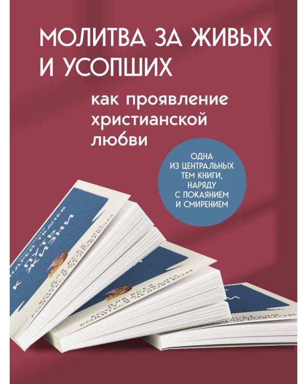 Дополнительное изображение книги «Путь к Жизни для всех, кому даровано родиться человеком»