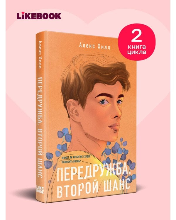 Дополнительное изображение книги «Передружба. Второй шанс»
