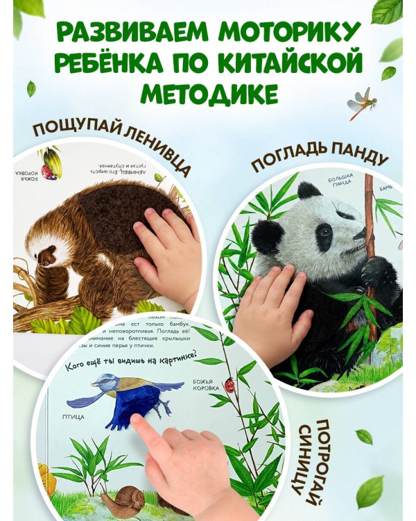 Дополнительное изображение книги «Дикие животные»