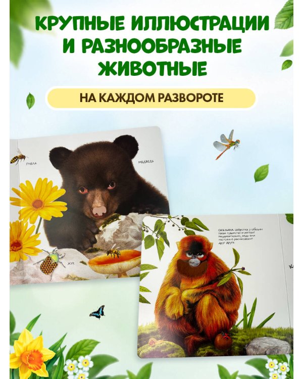 Дополнительное изображение книги «Дикие животные»