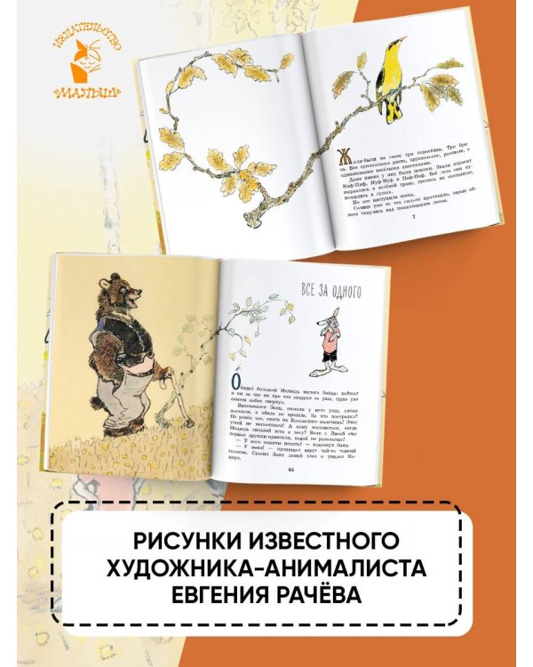 Весёлые зайцы. Рисунки Е. Рачева