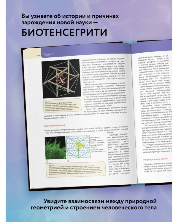 Биотенсегрити. Как работают Анатомические поезда, остеопатия и кинезиология и что может сделать эти техники максимально эффективными
