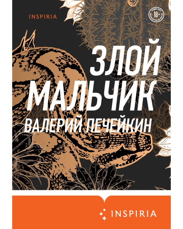 Злой мальчик