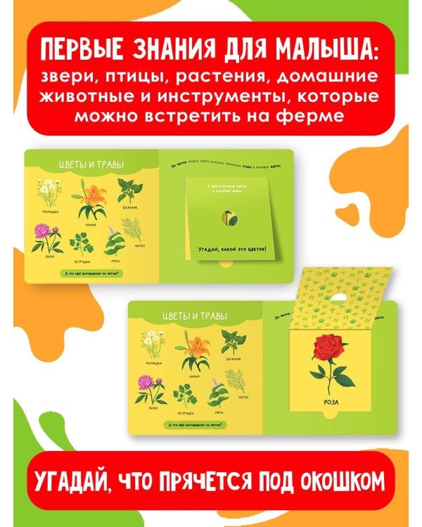 На ферме