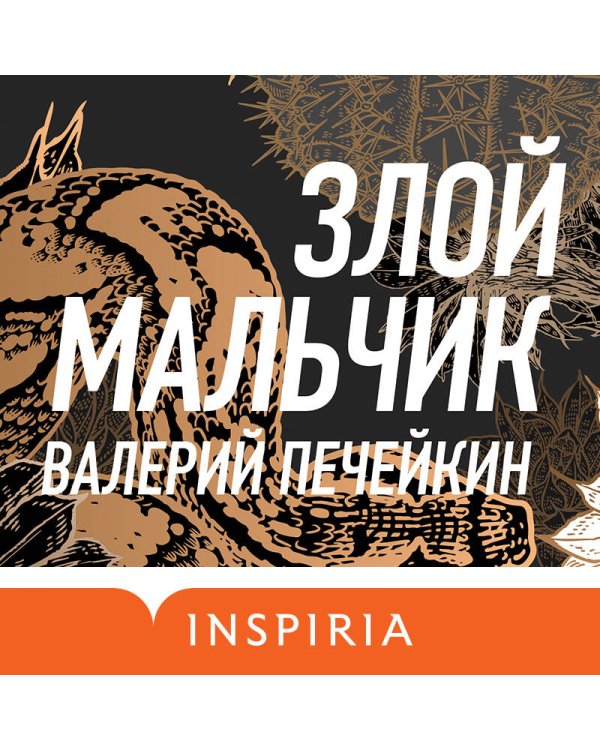 Злой мальчик