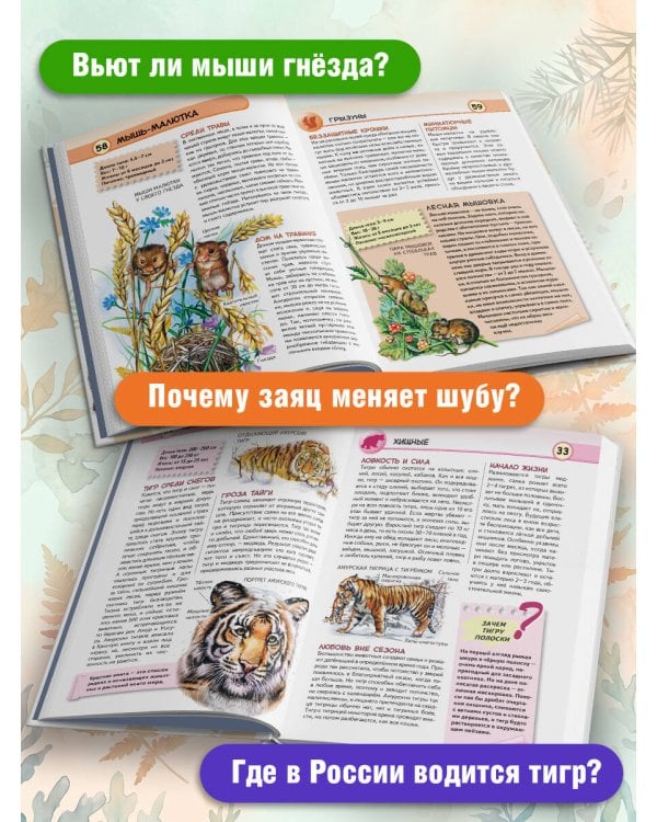 Дополнительное изображение книги «Животные лесов России»
