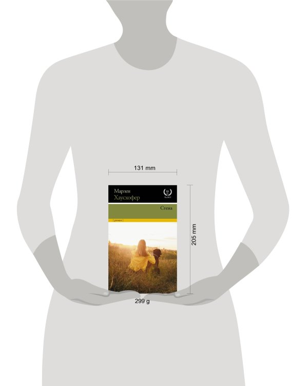 Дополнительное изображение книги «Стена»