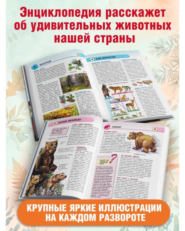 Дополнительное изображение книги «Животные лесов России»