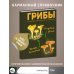 Грибы. Непромокаемый карманный справочник