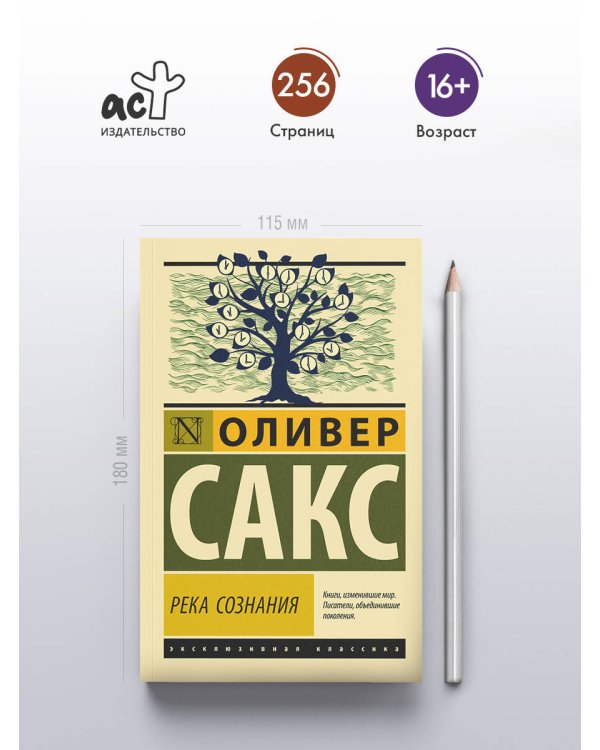 Река сознания