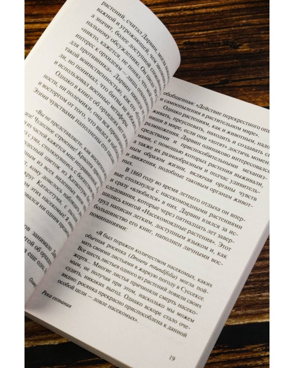 Река сознания