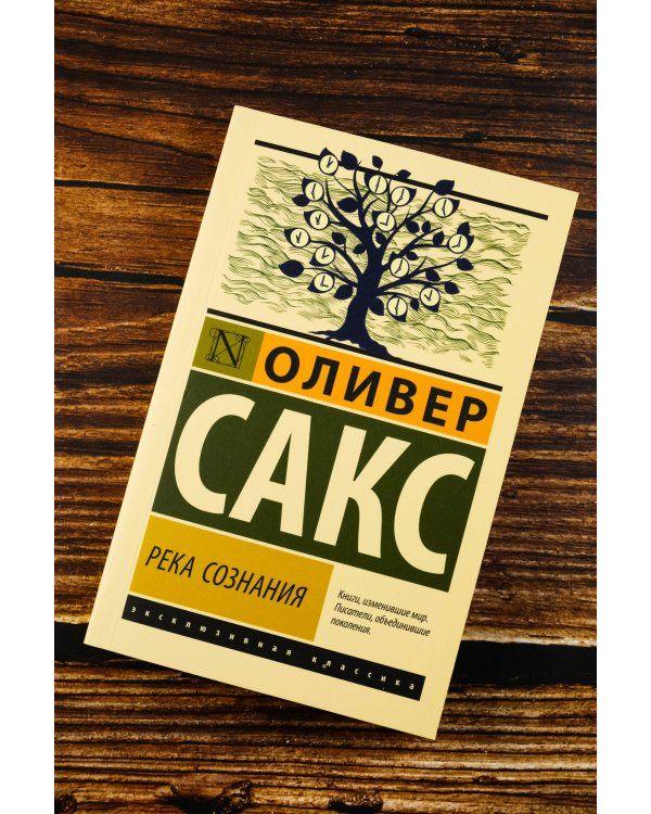 Река сознания