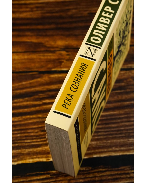 Река сознания