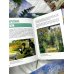 Импрессионизм. Книга в футляре + плакаты