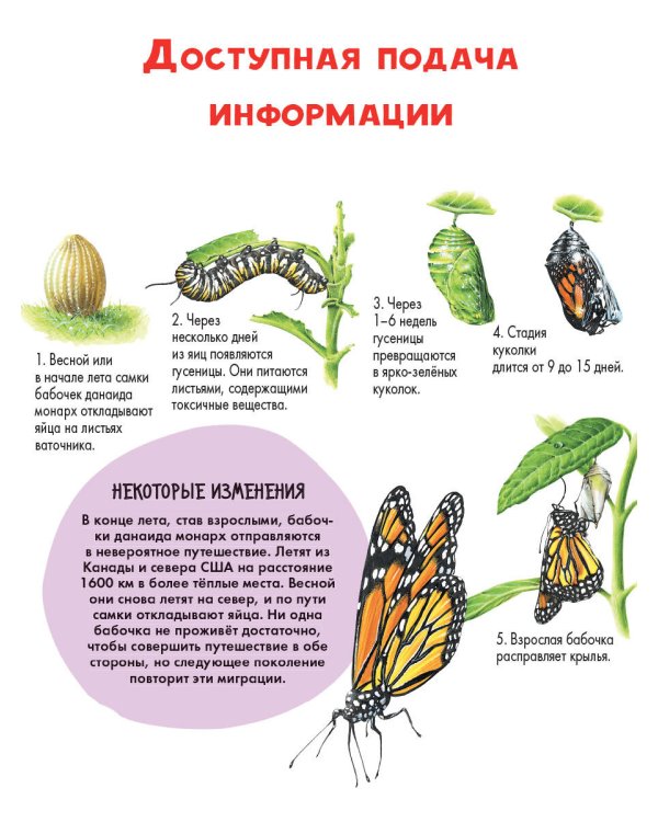 Детеныши животных