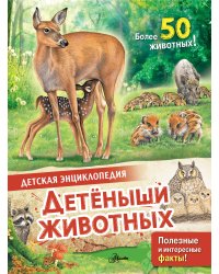 Детеныши животных