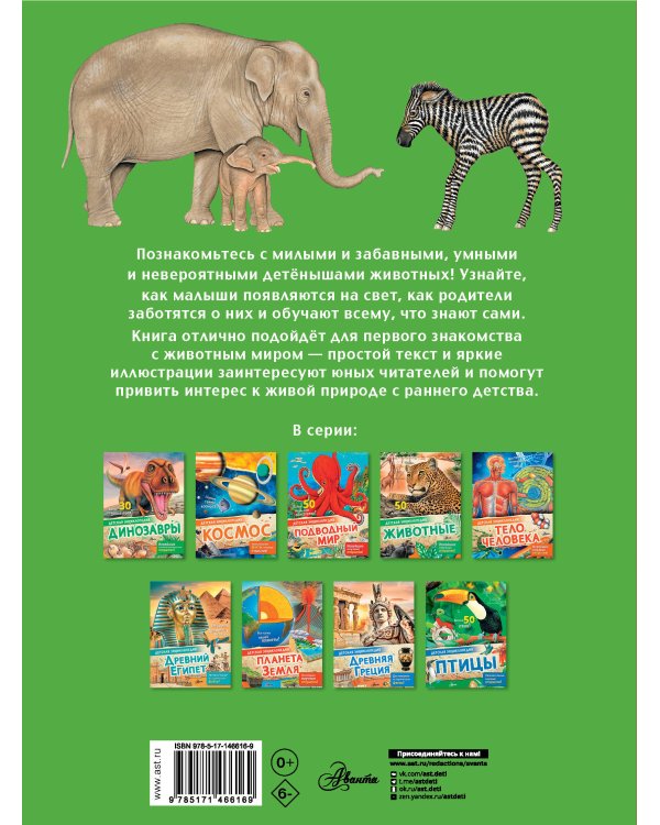 Детеныши животных