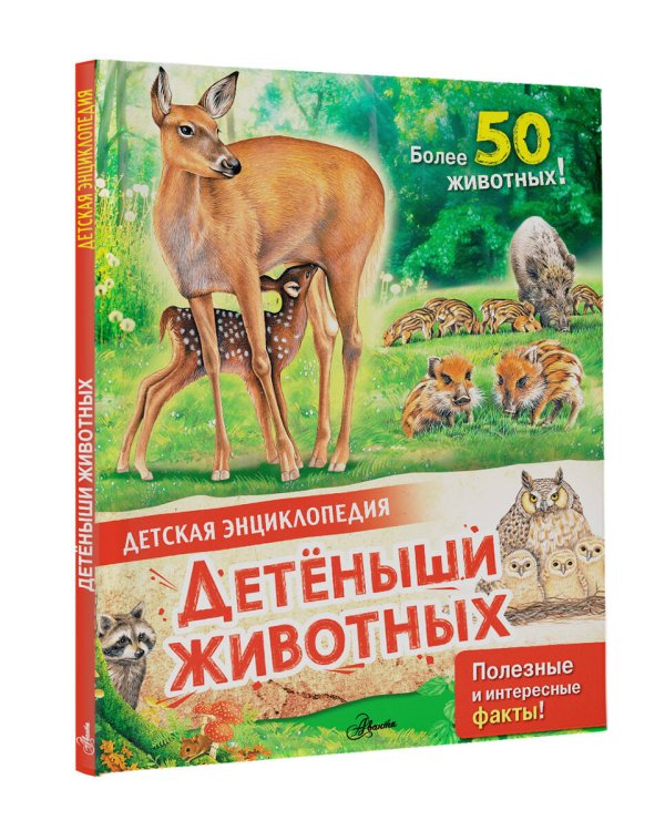 Детеныши животных