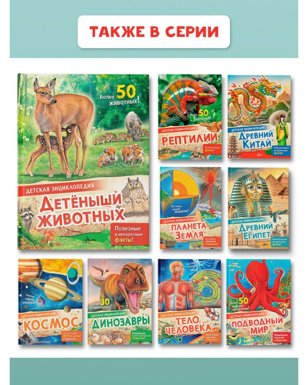 Детеныши животных