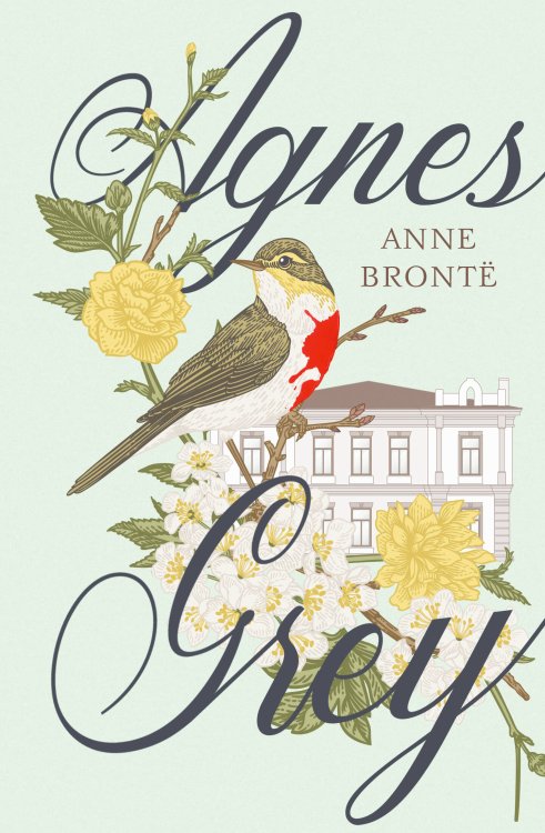 Exclusive classics Hardcover Agnes Grey