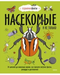 Насекомые и не только. От шмелей до навозных жуков: все ползуче-летучие факты, рекорды и достижения