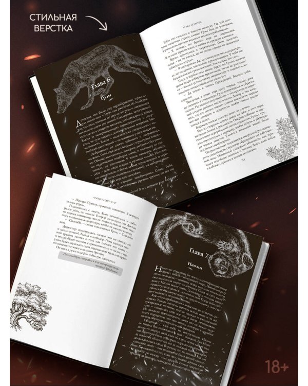 Дополнительное изображение книги «И мы сгорим»