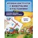 Виммельбух с окошками и игровым конструктором. Угадай, кого я вижу! Машины-помощники