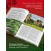 Здравствуй, сад. Идеи и решения для вашего участка