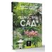Здравствуй, сад. Идеи и решения для вашего участка
