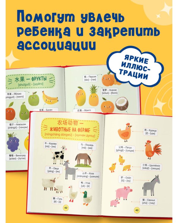 Мой первый год китайского. Словарик в картинках
