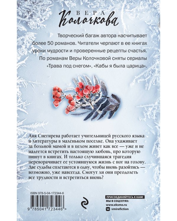 Зимняя рябина