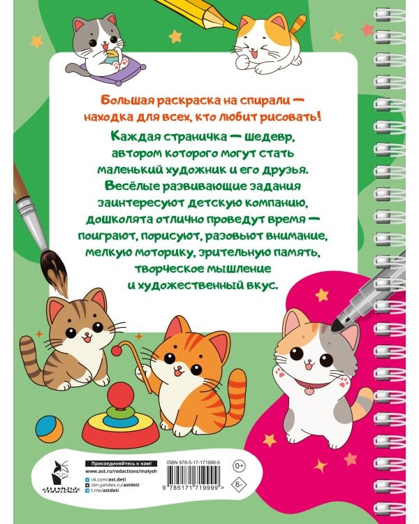 100 милых котиков. Большая раскраска