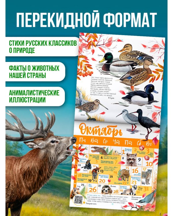 Дополнительное изображение книги «Календарь живой природы с голосами животных 2027 год»