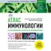 Цветные иллюстрированные медицинские атласы Атлас иммунологии. От распознавания антигена до иммунотерапии