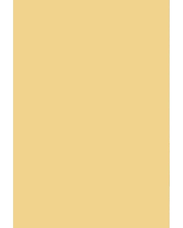 Обложка для паспорта. Кукла (по мотивам сериала "Игра в кальмара")