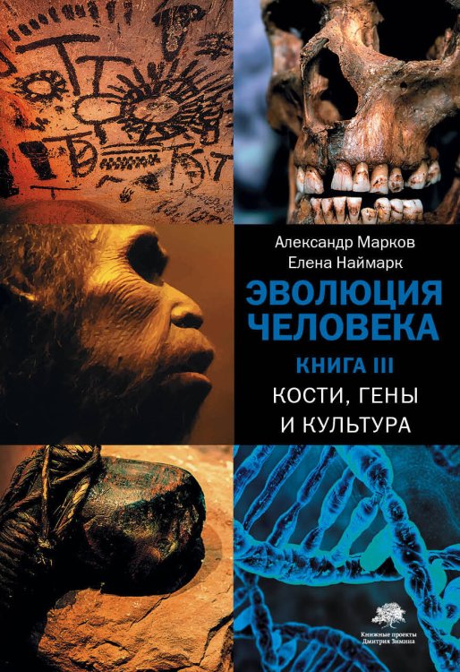 Обложка книги «Эволюция человека. [В 3 кн.] Кн. 3. Кости, гены и культура» — Марков Александр Владимирович, ISBN 9785171375805