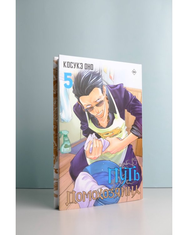 Путь домохозяина. Том 5