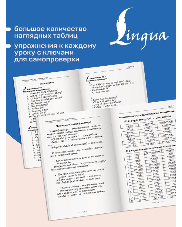 Вьетнамский язык без репетитора. Самоучитель вьетнамского языка