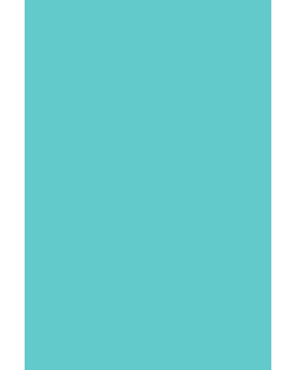 Mint notebook. Блокнот (А5, 32 л., прошитый цветными нитками, тиснение фольгой)