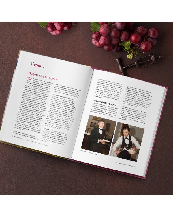 PRO SOMMELIER. Учебник сомелье: дегустация, сервис, эногастромия, энография