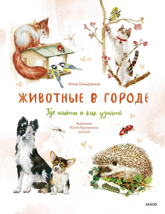 Мой первый определитель Животные в городе. Где найти и как узнать