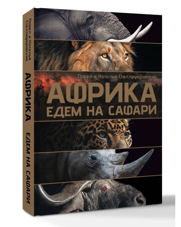 Африка. Едем на сафари