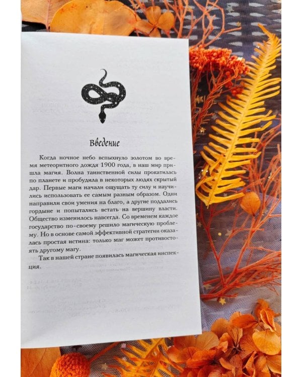 Дополнительное изображение книги «Загадка Маленького принца»