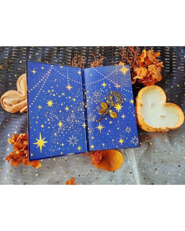 Дополнительное изображение книги «Загадка Маленького принца»